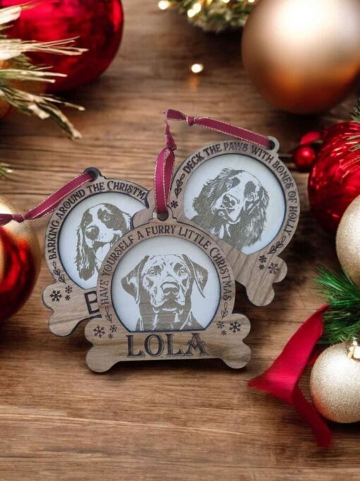 Christmas Ornament For Your Dog.