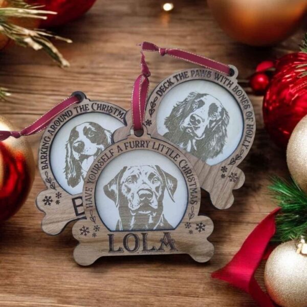 Christmas Ornament For Your Dog.